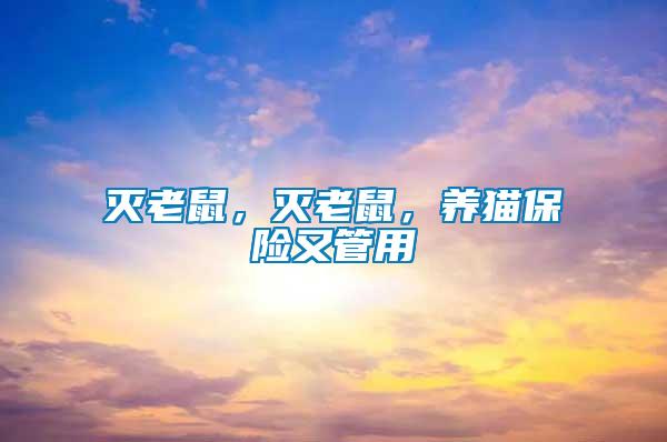 滅老鼠，滅老鼠，養(yǎng)貓保險(xiǎn)又管用