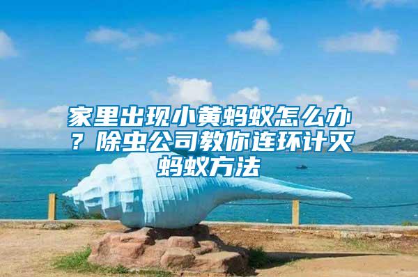 家里出現(xiàn)小黃螞蟻怎么辦？除蟲公司教你連環(huán)計(jì)滅螞蟻方法