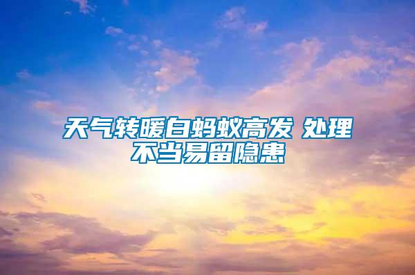 天氣轉暖白螞蟻高發　處理不當易留隱患
