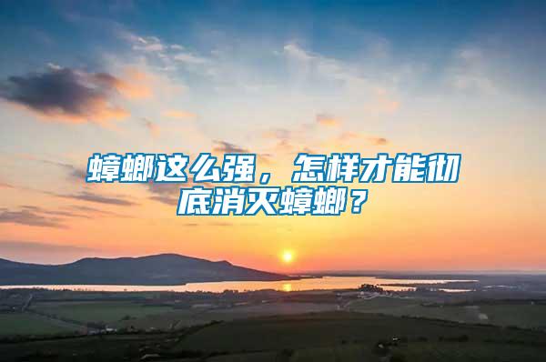 蟑螂這么強，怎樣才能徹底消滅蟑螂？