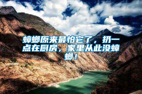 蟑螂原來最怕它了，扔一點在廚房，家里從此沒蟑螂！