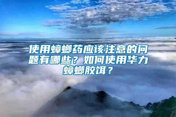 使用蟑螂藥應該注意的問題有哪些？如何使用華力蟑螂膠餌？