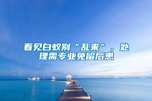 看見(jiàn)白蟻別“亂來(lái)”，處理需專業(yè)免留后患