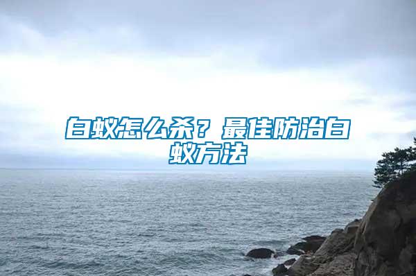 白蟻怎么殺？最佳防治白蟻方法