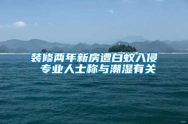 裝修兩年新房遭白蟻入侵 專(zhuān)業(yè)人士稱(chēng)與潮濕有關(guān)