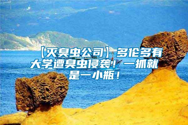 【滅臭蟲公司】多倫多有大學遭臭蟲侵襲！一抓就是一小瓶！