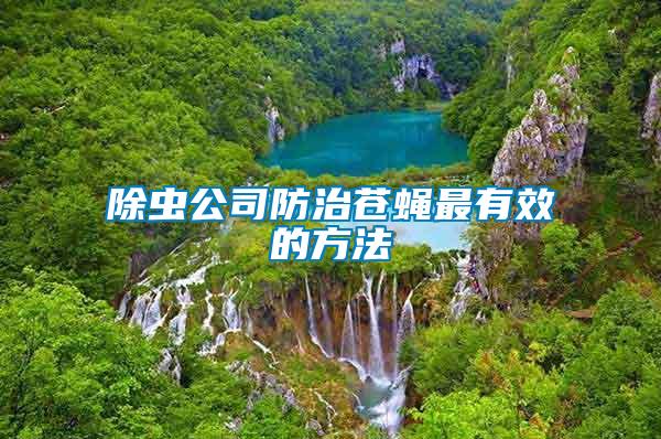 除蟲(chóng)公司防治蒼蠅最有效的方法