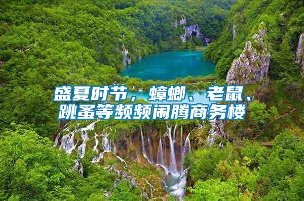 盛夏時節(jié)，蟑螂、老鼠、跳蚤等頻頻鬧騰商務(wù)樓
