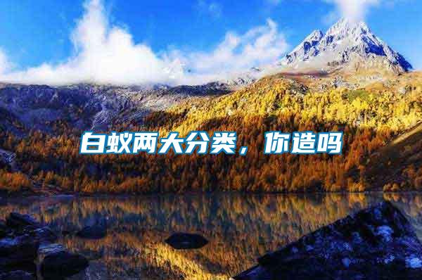 白蟻兩大分類，你造嗎