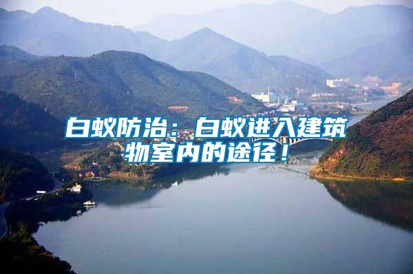 白蟻防治：白蟻進入建筑物室內的途徑！
