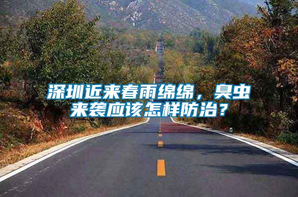 深圳近來春雨綿綿，臭蟲來襲應該怎樣防治？