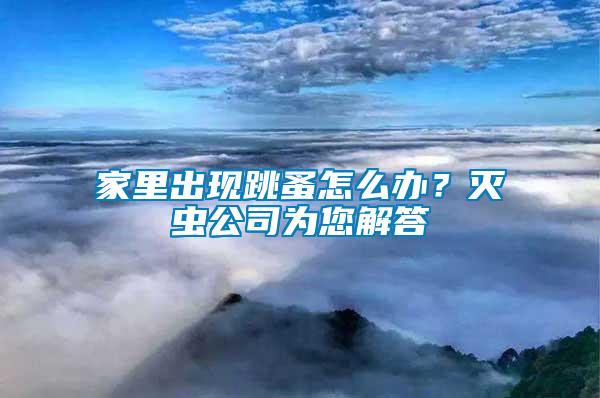 家里出現(xiàn)跳蚤怎么辦？滅蟲公司為您解答
