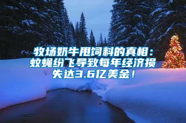 牧場奶牛甩飼料的真相：蚊蠅紛飛導致每年經濟損失達3.6億美金！
