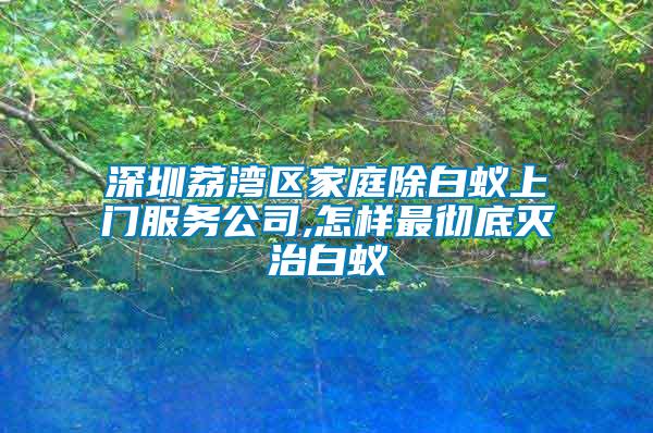 深圳荔灣區家庭除白蟻上門服務公司,怎樣最徹底滅治白蟻