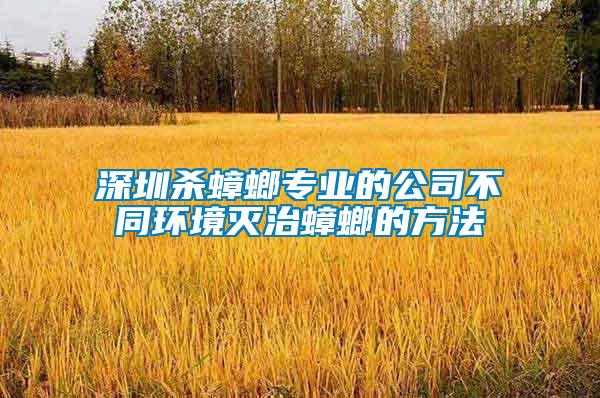 深圳殺蟑螂專業的公司不同環境滅治蟑螂的方法