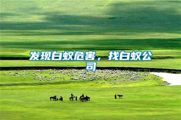發現白蟻危害，找白蟻公司