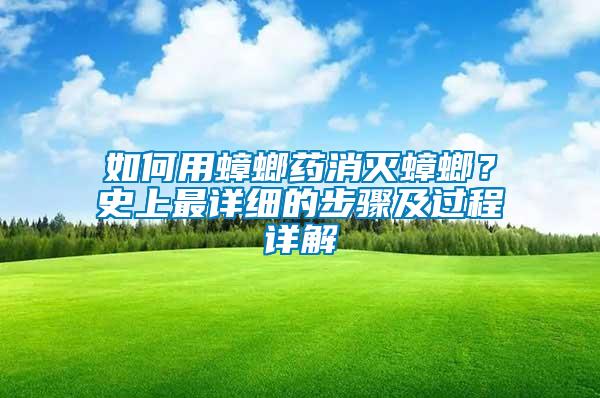 如何用蟑螂藥消滅蟑螂？史上最詳細的步驟及過程詳解