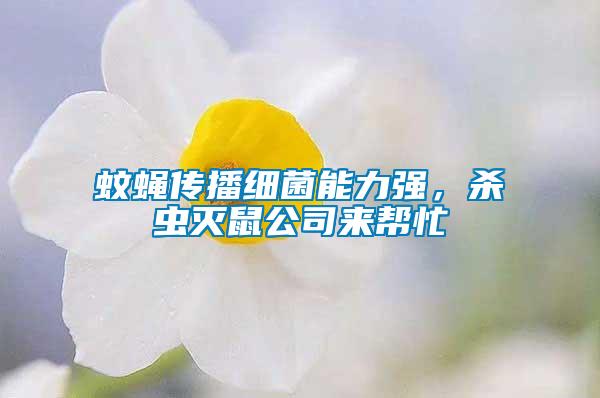 蚊蠅傳播細菌能力強，殺蟲滅鼠公司來幫忙
