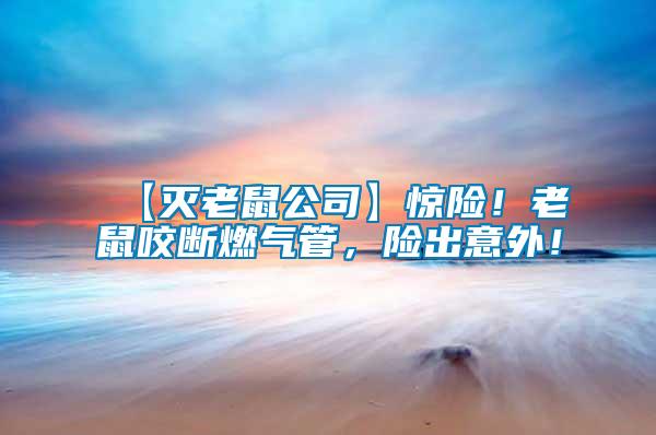 【滅老鼠公司】驚險！老鼠咬斷燃氣管，險出意外！