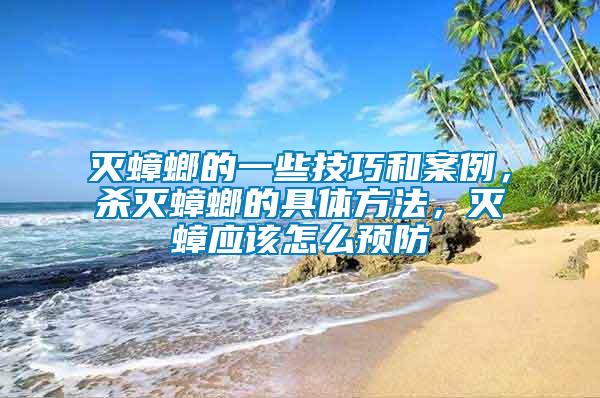 滅蟑螂的一些技巧和案例，殺滅蟑螂的具體方法，滅蟑應該怎么預防