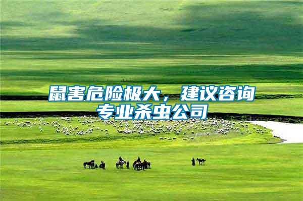 鼠害危險(xiǎn)極大，建議咨詢專業(yè)殺蟲公司