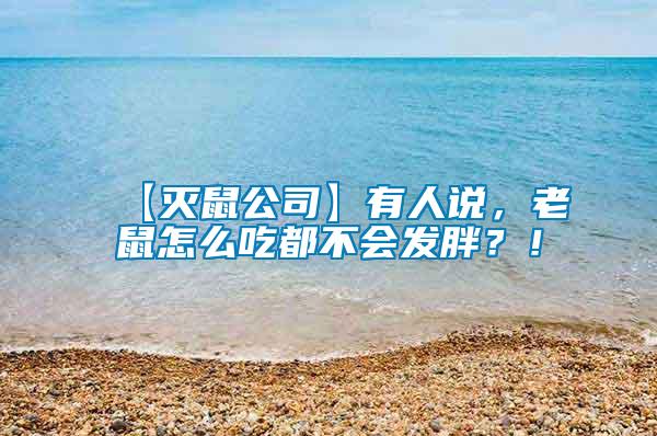 【滅鼠公司】有人說，老鼠怎么吃都不會發胖？！
