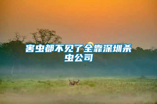 害蟲(chóng)都不見(jiàn)了全靠深圳殺蟲(chóng)公司