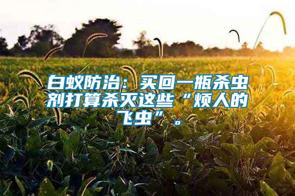 白蟻防治：買回一瓶殺蟲劑打算殺滅這些“煩人的飛蟲”。