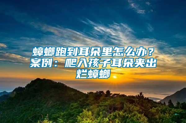 蟑螂跑到耳朵里怎么辦？案例：爬入孩子耳朵夾出爛蟑螂