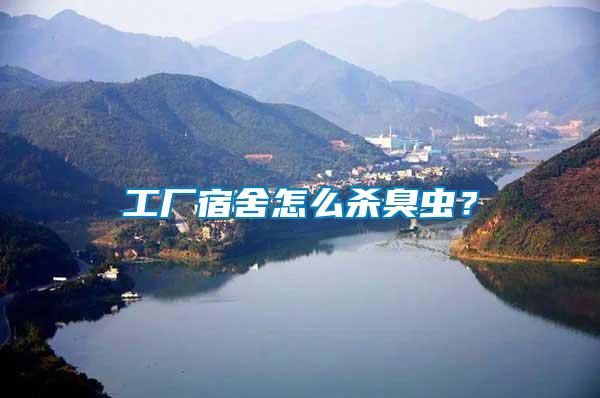 工廠宿舍怎么殺臭蟲？