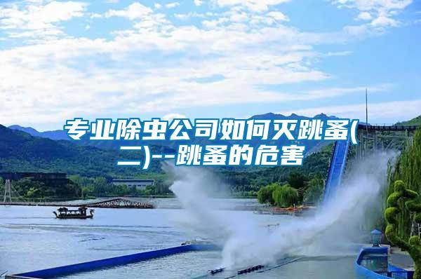 專業除蟲公司如何滅跳蚤(二)--跳蚤的危害