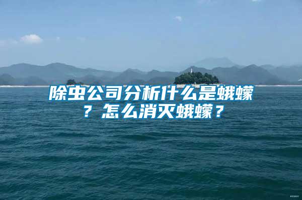 除蟲(chóng)公司分析什么是蛾蠓？怎么消滅蛾蠓？