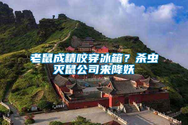 老鼠成精咬穿冰箱？殺蟲滅鼠公司來(lái)降妖
