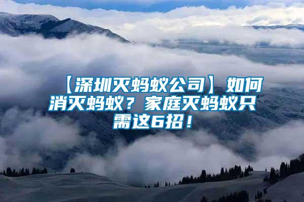 【深圳滅螞蟻公司】如何消滅螞蟻？家庭滅螞蟻只需這6招！