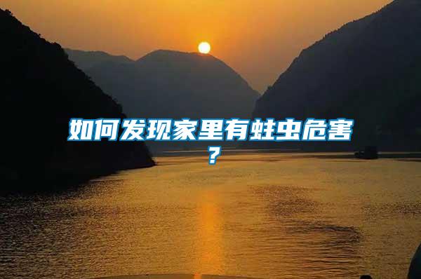 如何發現家里有蛀蟲危害？