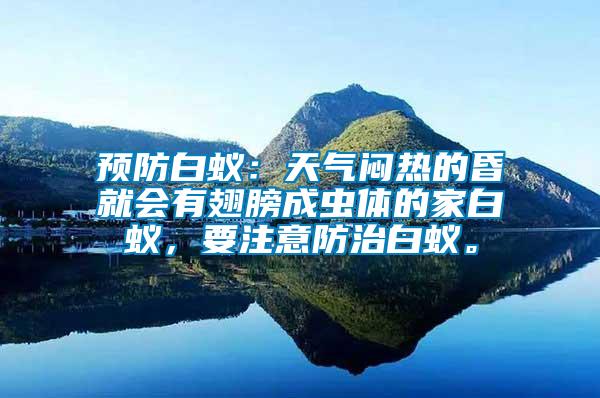 預防白蟻：天氣悶熱的昏就會有翅膀成蟲體的家白蟻，要注意防治白蟻。