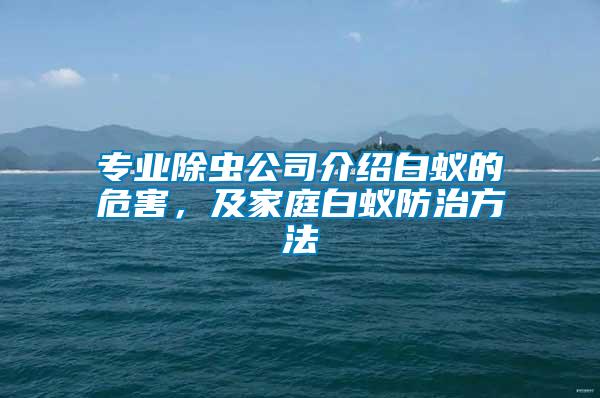 專業除蟲公司介紹白蟻的危害，及家庭白蟻防治方法