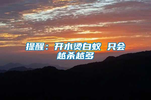 提醒：開(kāi)水燙白蟻 只會(huì)越殺越多