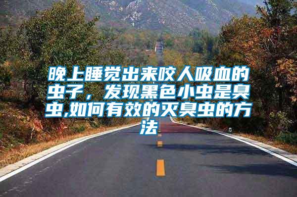 晚上睡覺出來咬人吸血的蟲子，發(fā)現(xiàn)黑色小蟲是臭蟲,如何有效的滅臭蟲的方法