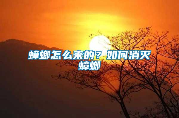 蟑螂怎么來(lái)的？如何消滅蟑螂