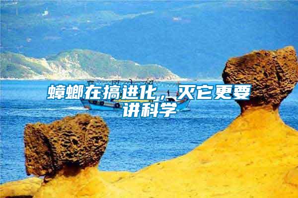 蟑螂在搞進(jìn)化，滅它更要講科學(xué)