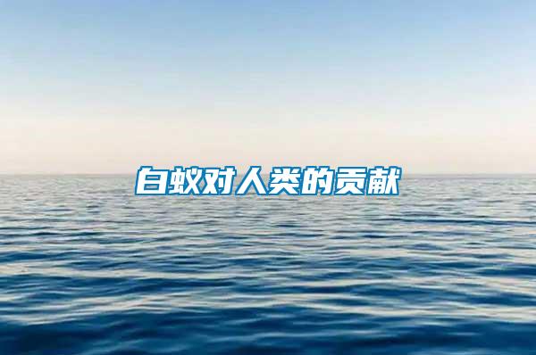 白蟻對(duì)人類(lèi)的貢獻(xiàn)