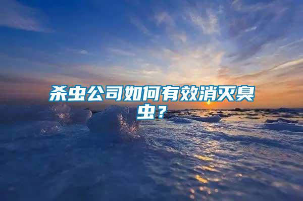 殺蟲公司如何有效消滅臭蟲？