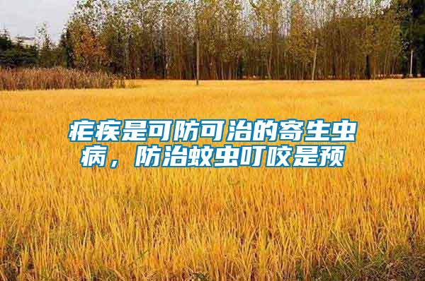 瘧疾是可防可治的寄生蟲病，防治蚊蟲叮咬是預
