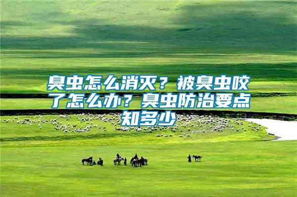 臭蟲怎么消滅？被臭蟲咬了怎么辦？臭蟲防治要點知多少