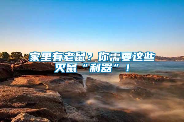 家里有老鼠？你需要這些滅鼠“利器”！