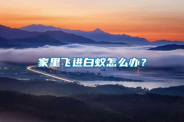 家里飛進(jìn)白蟻怎么辦？