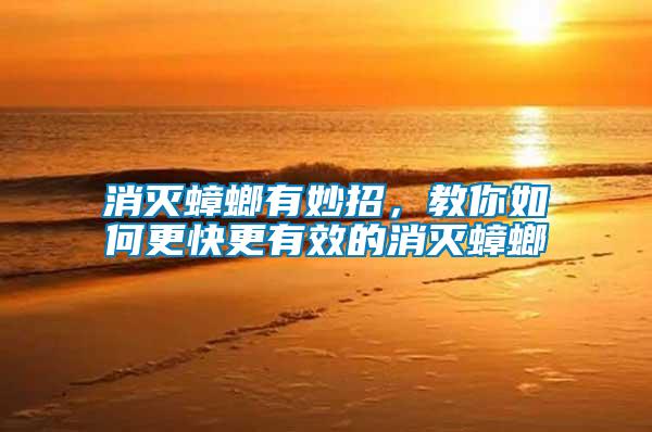 消滅蟑螂有妙招，教你如何更快更有效的消滅蟑螂