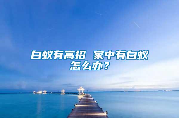 白蟻有高招 家中有白蟻怎么辦？