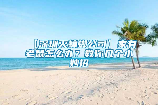 【深圳滅蟑螂公司】家有老鼠怎么辦？教你幾個(gè)小妙招